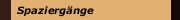 Spaziergänge